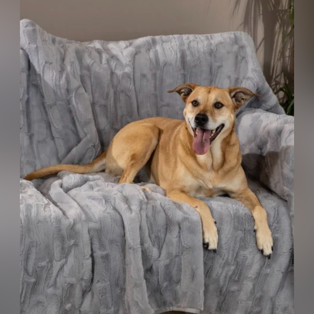 Brentwood  Oversized Waterproof Pet Blanket & Furniture Protector 60”X 7…